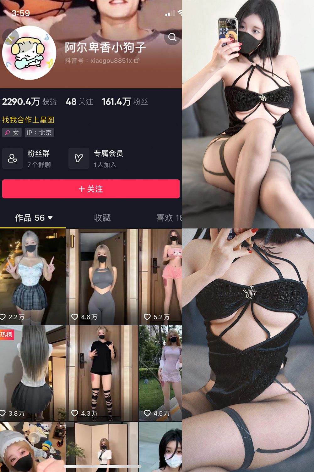 抖音 阿尔卑香小狗子 微密圈 NO.046期 【14P1V】