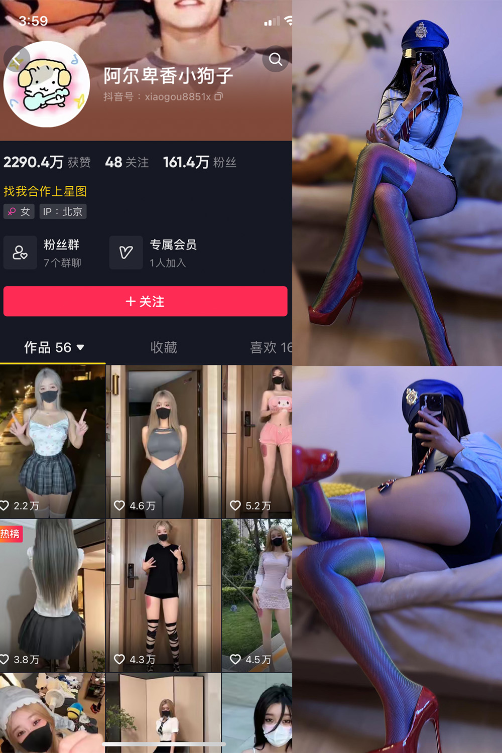 抖音 阿尔卑香小狗子 微密圈合集 NO.001-031期