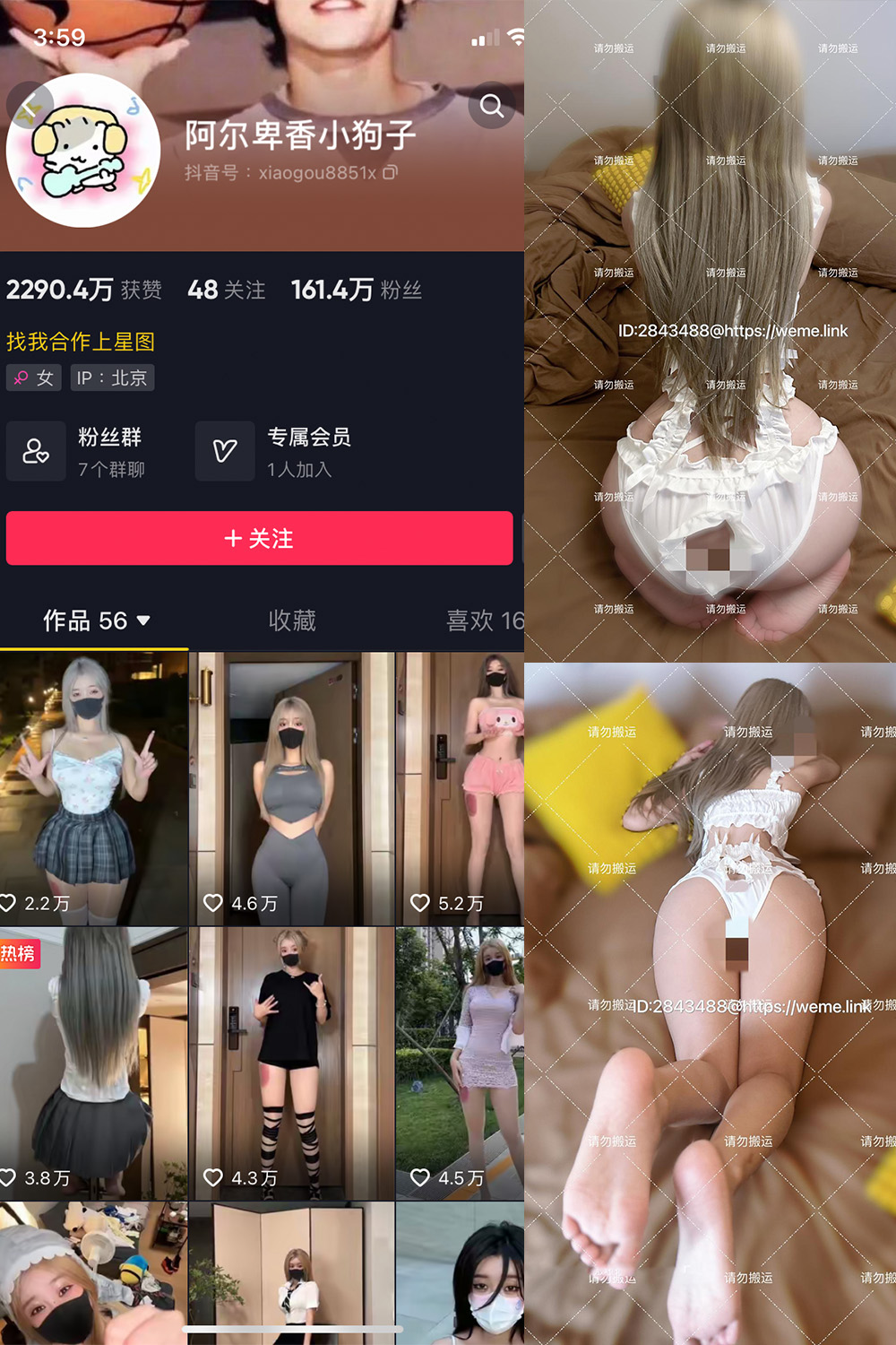 抖音 阿尔卑香小狗子 微密圈 NO.054期 【16P1V】