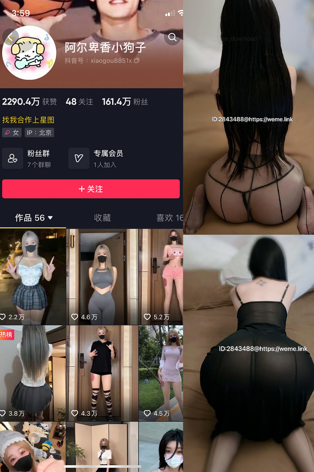 抖音 阿尔卑香小狗子 微密圈 NO.057期 【36P1V】